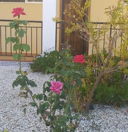 Romantic 50 Meters From The Sea *