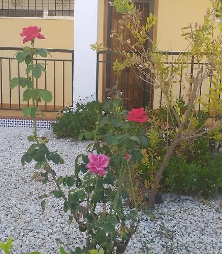 Romantic 50 Meters From The Sea *